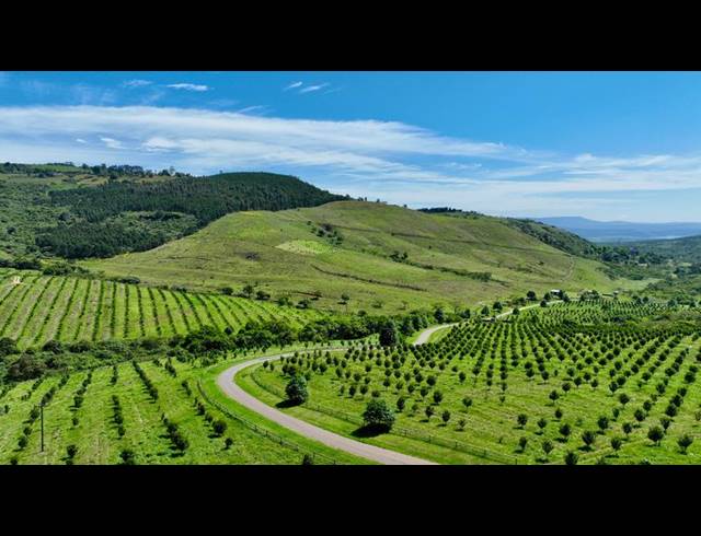 FARM FOR SALE IN MOUNT VERDE